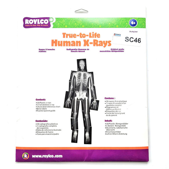 New Roylco Human Body X-Rays Montessori Learning Elementary Education - Picture 2 of 4
